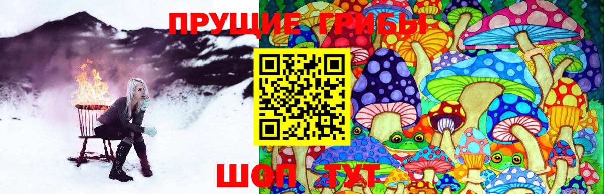 Псилоцибиновые грибы Psilocybe  Вход с VPN  Протвино  Галлюциногенные грибы Psilocybine cubensis 