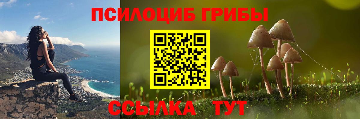 Псилоцибиновые грибы прущие грибы Протвино